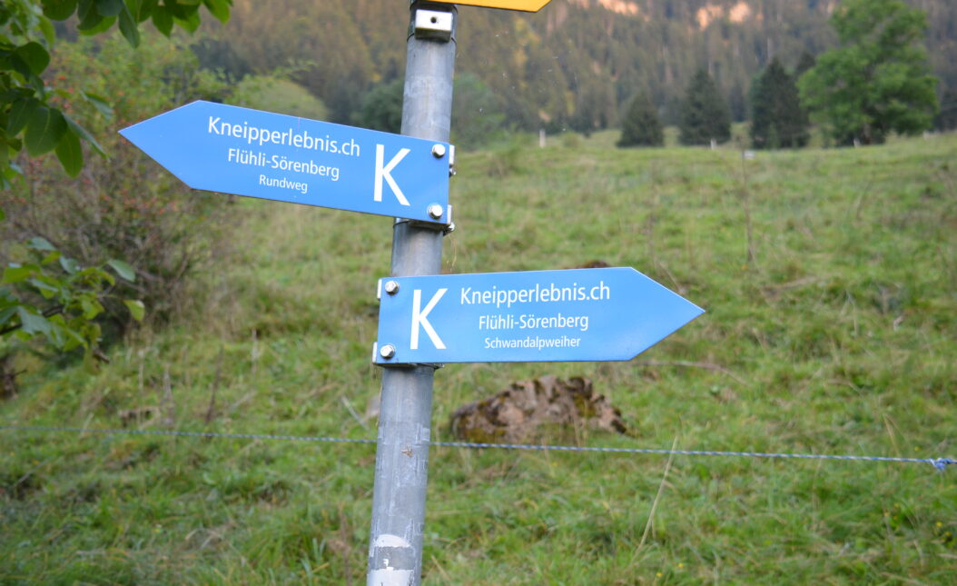 Damian Müller | Ständerat